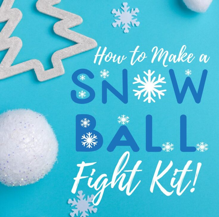 Indoor Snowball Fight