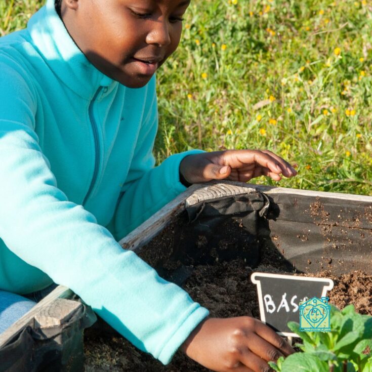 How to Set Up a Container Garden Without Breaking the Bank