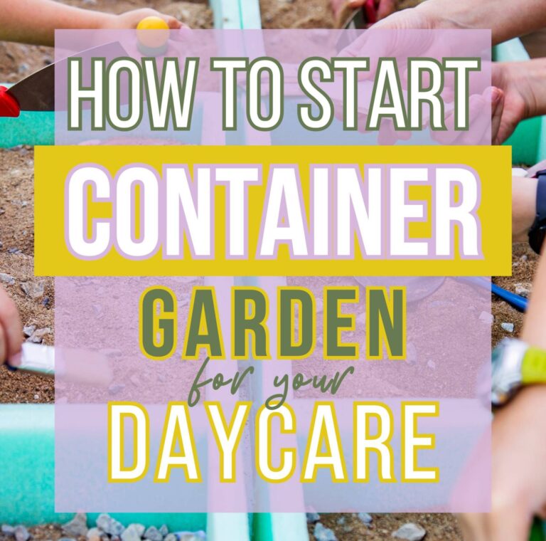 Container Garden for Daycare