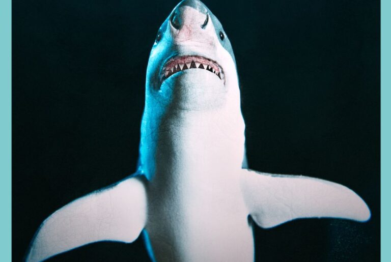 7 Fun and Easy Shark Week Ideas for Childcare Providers